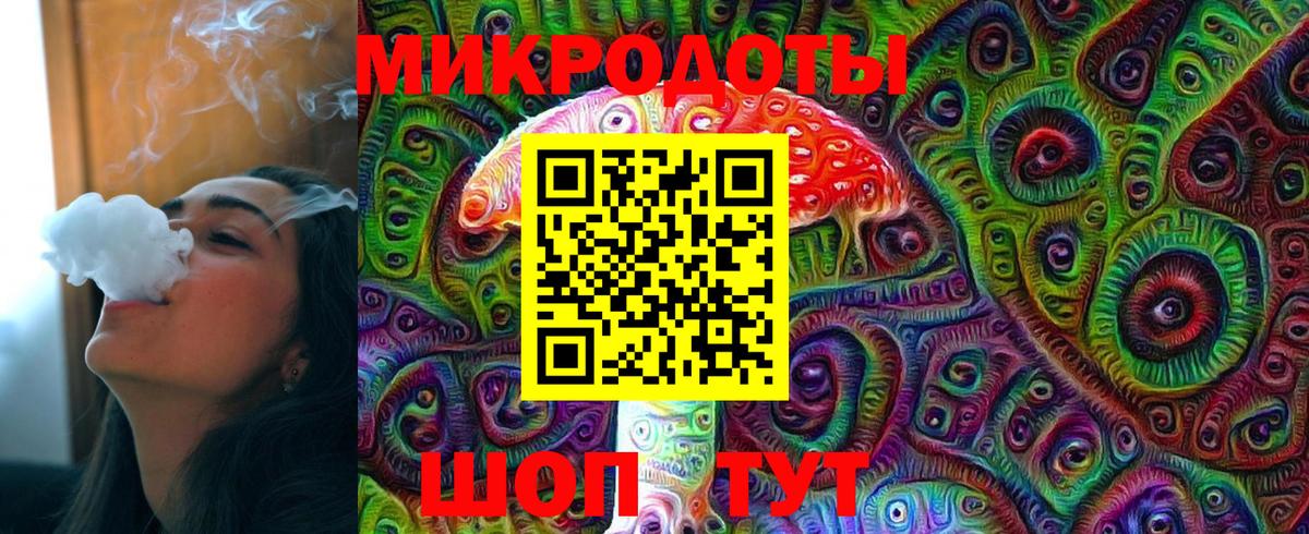 Галлюциногенные грибы Psilocybe Новозыбков