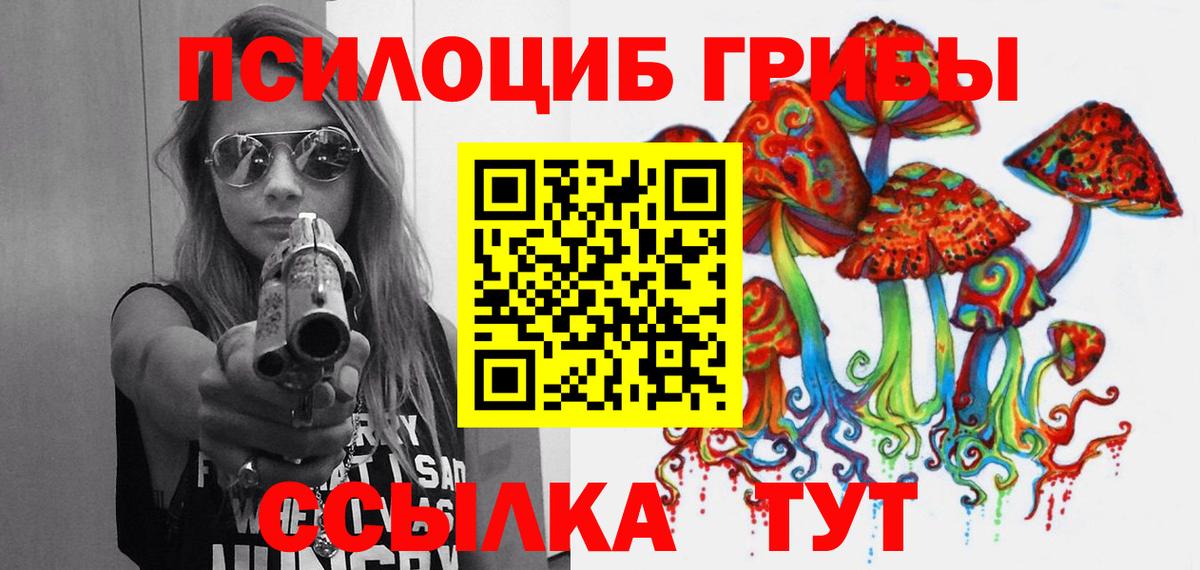 Новозыбков  Псилоцибиновые грибы Magic Shrooms  Вход с VPN  Псилоцибиновые грибы мицелий 