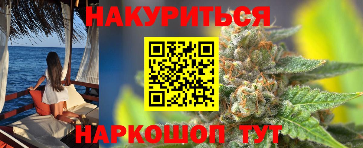 Конопля сатива  Вход с VPN  Канабис семена  Бошки Шишки тримм  Новозыбков  Канабис LSD WEED 